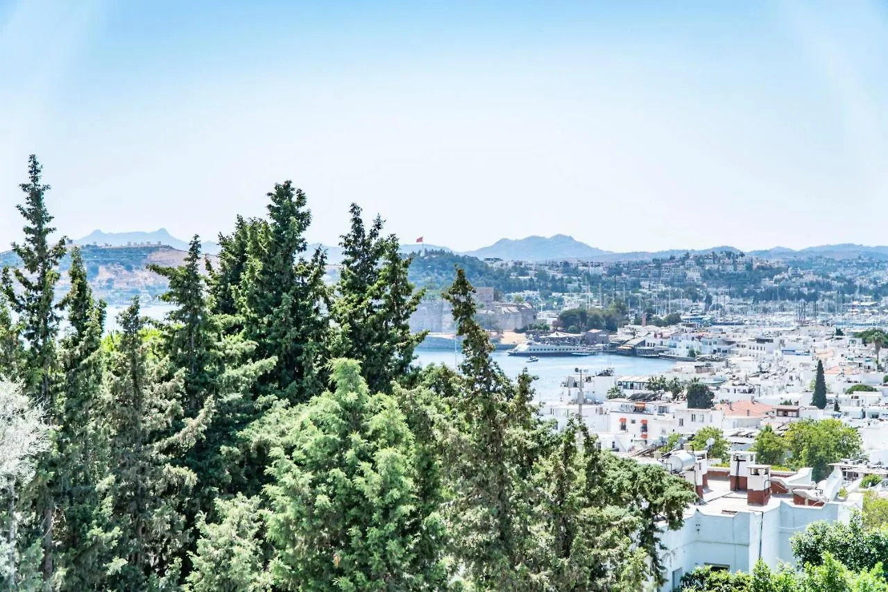 Manzara Boutique Hotel - Adults Only Bodrum 3*,
