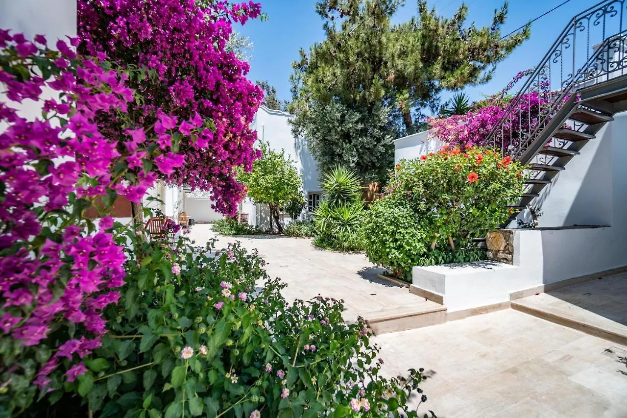 Manzara Boutique Hotel - Adults Only Bodrum 3*,