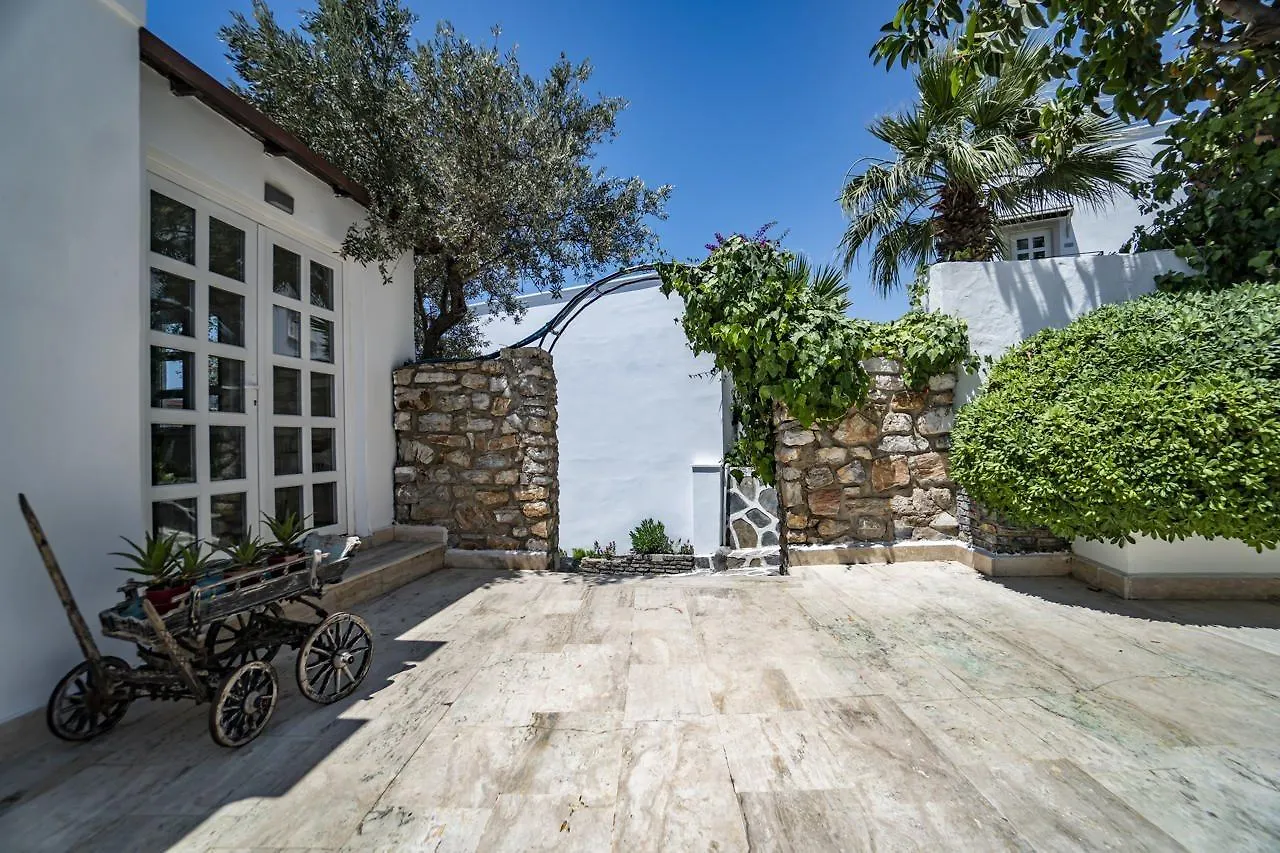 Manzara Boutique Hotel - Adults Only Bodrum