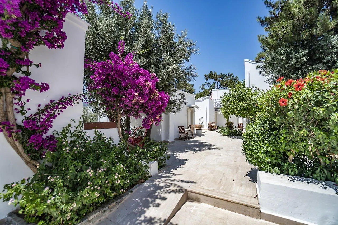 Manzara Boutique Hotel - Adults Only Bodrum Turkije