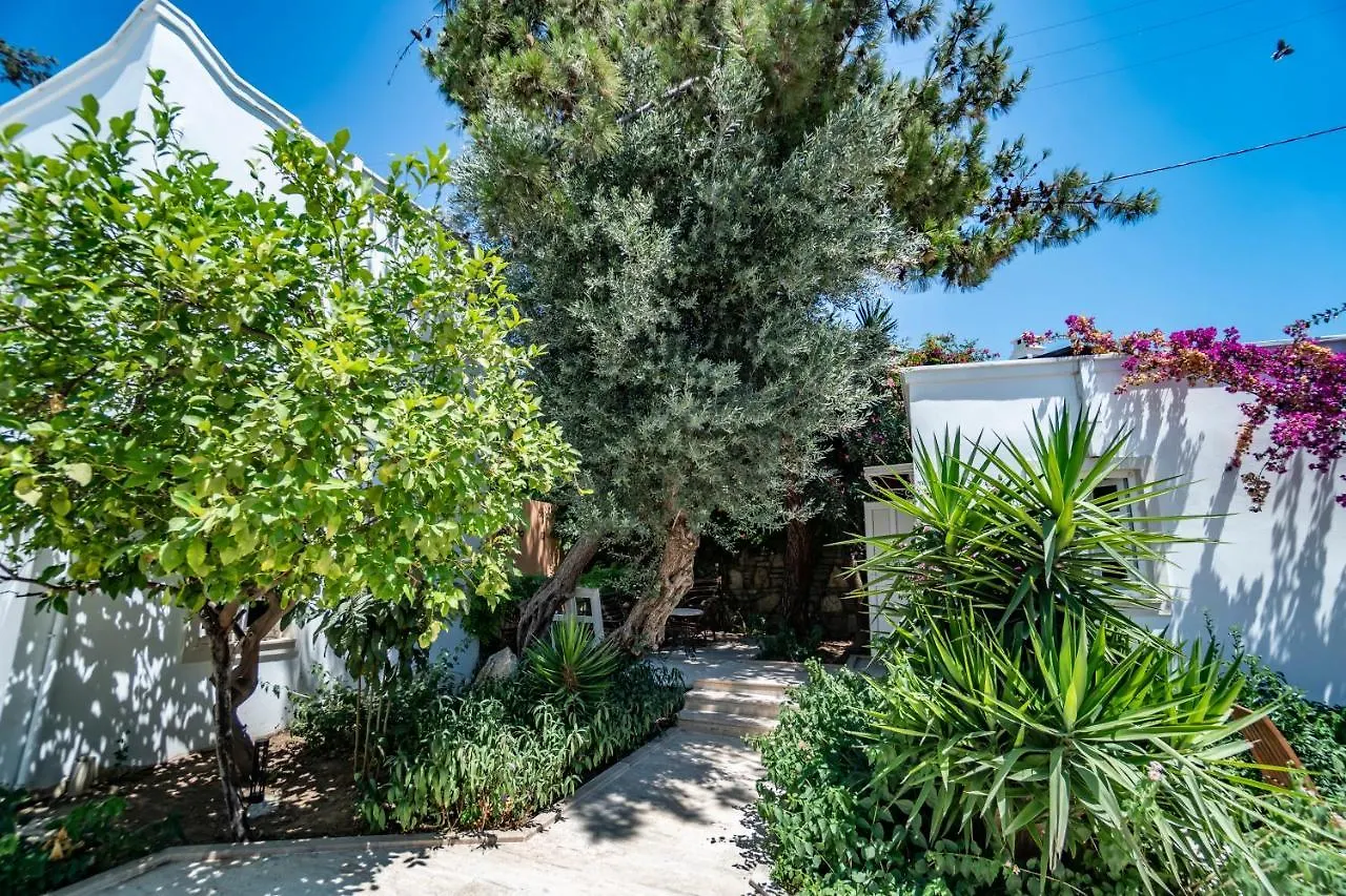 Manzara Boutique Hotel - Adults Only Bodrum